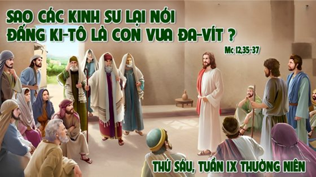 image 31