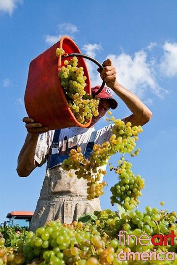 Giết thừa kế - Để làm chủ