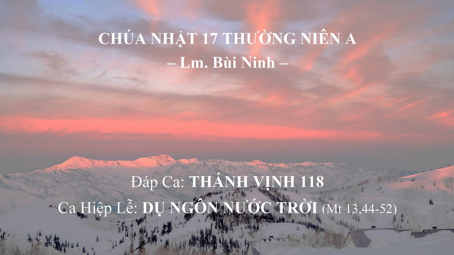 Chúa Nhật 17 Thường Niên A – Đáp Ca – Ca Hiệp Lễ – Lm. Bùi Ninh