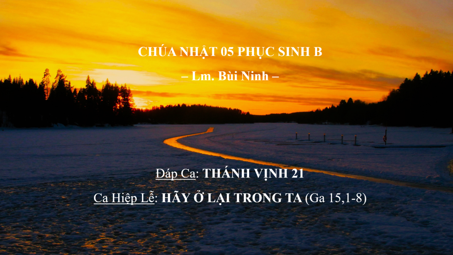 Chúa Nhật 05 Phục Sinh B – Đáp Ca và Nguyện Ca – Lm. Bùi Ninh