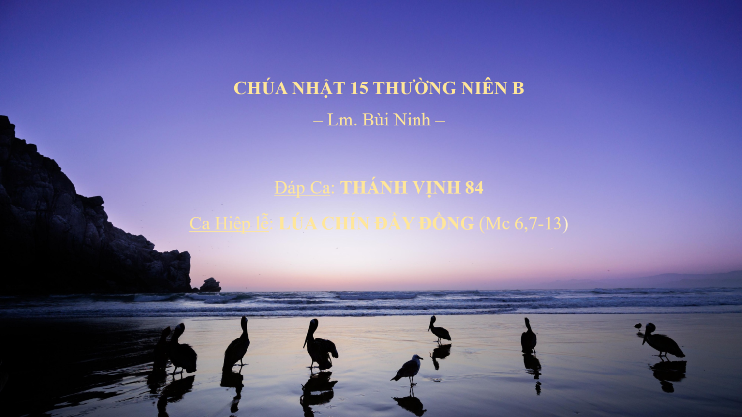 Chúa Nhật 15 Thường Niên B – Đáp Ca & Ca Hiệp lễ – Lm. Bùi Ninh