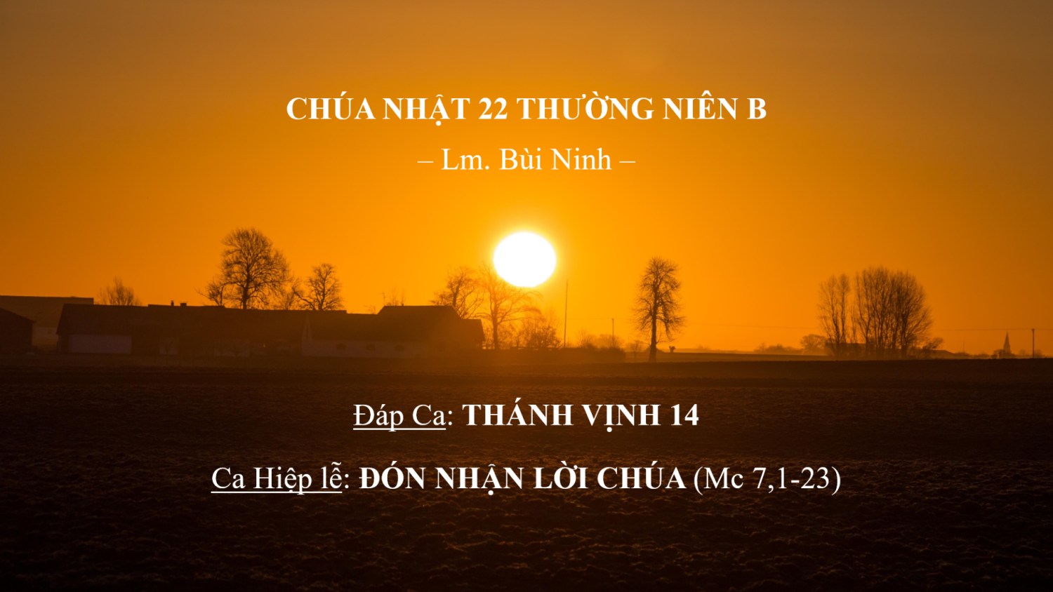 Chúa Nhật 22 Thường Niên B – Đáp Ca & Ca Hiệp lễ – Lm. Bùi Ninh