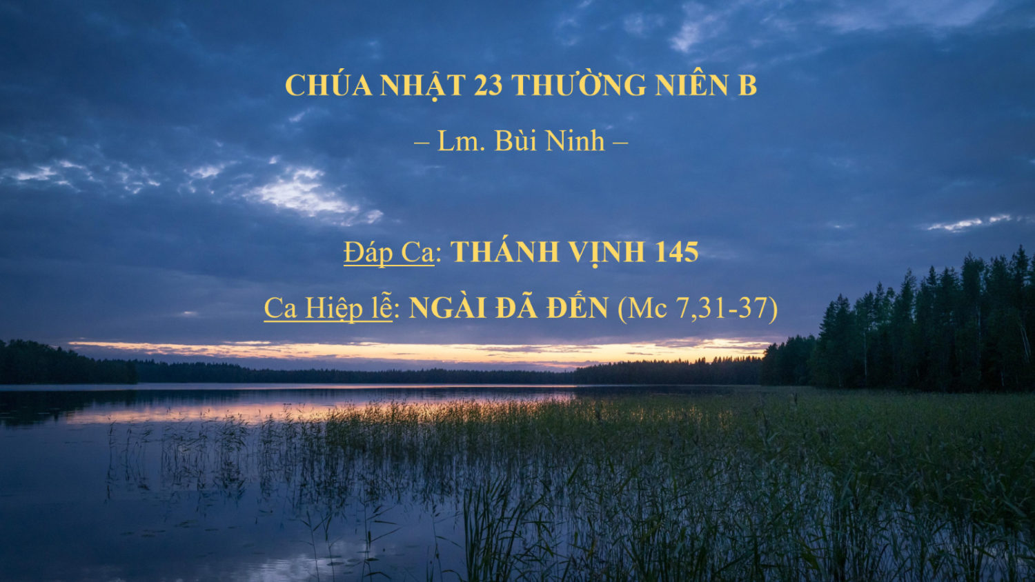 Chúa Nhật 23 Thường Niên B – Ca Hiệp lễ & Đáp Ca – Lm. Bùi Ninh