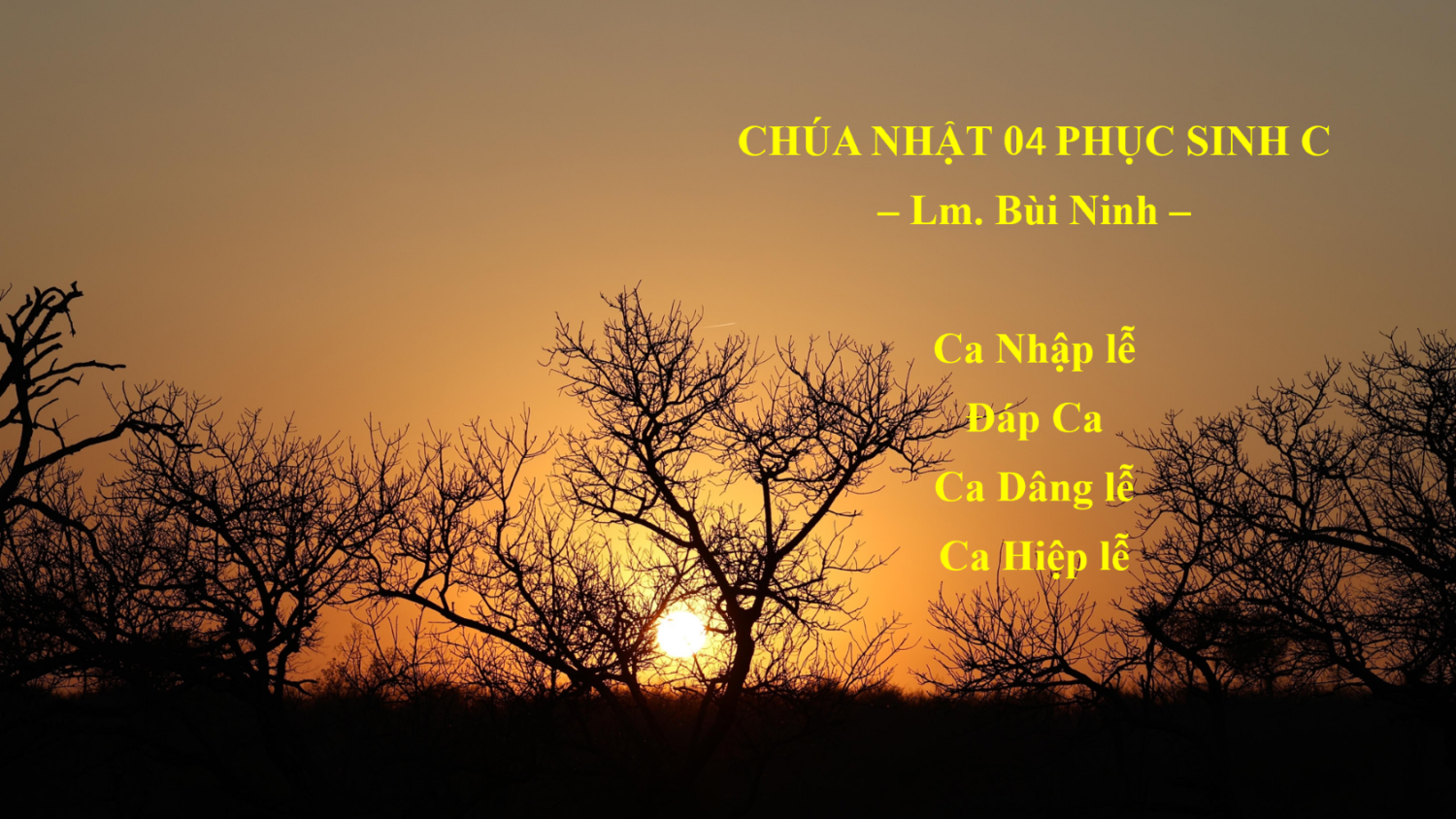 Chúa Nhật 04 Phục Sinh C: Nhập Lễ – Đáp Ca – Dâng Lễ – Hiệp Lễ