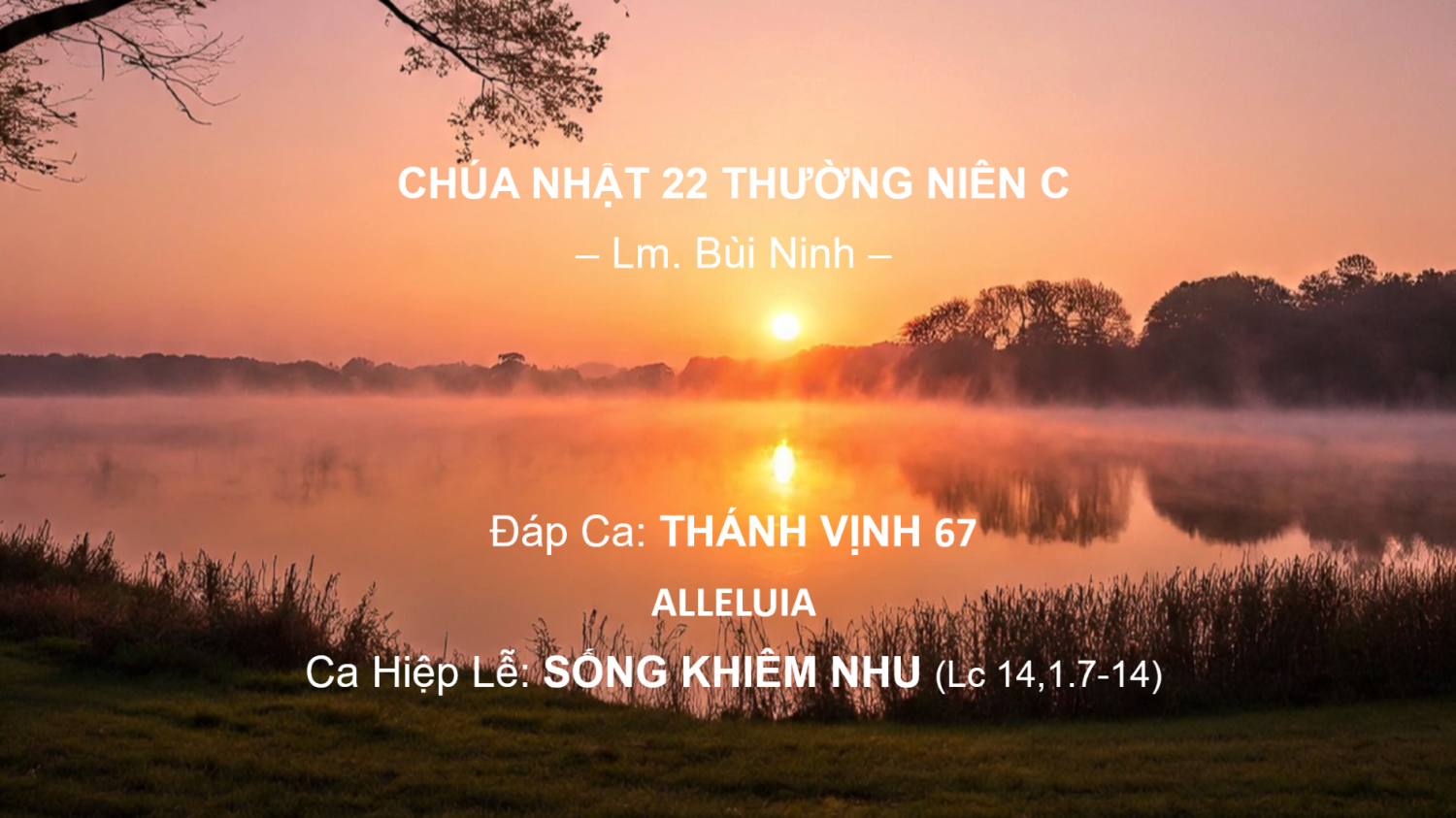 Chúa Nhật 22 Thường Niên C – Đáp Ca - Alleluia - Ca Hiệp Lễ – Lm. Bùi Ninh