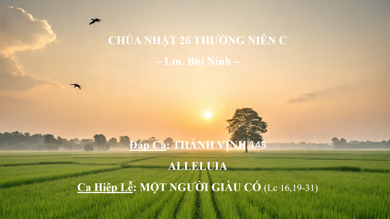 Chúa Nhật 26 Thường Niên C – Đáp Ca - Alleluia - Ca Hiệp Lễ – Lm. Bùi Ninh