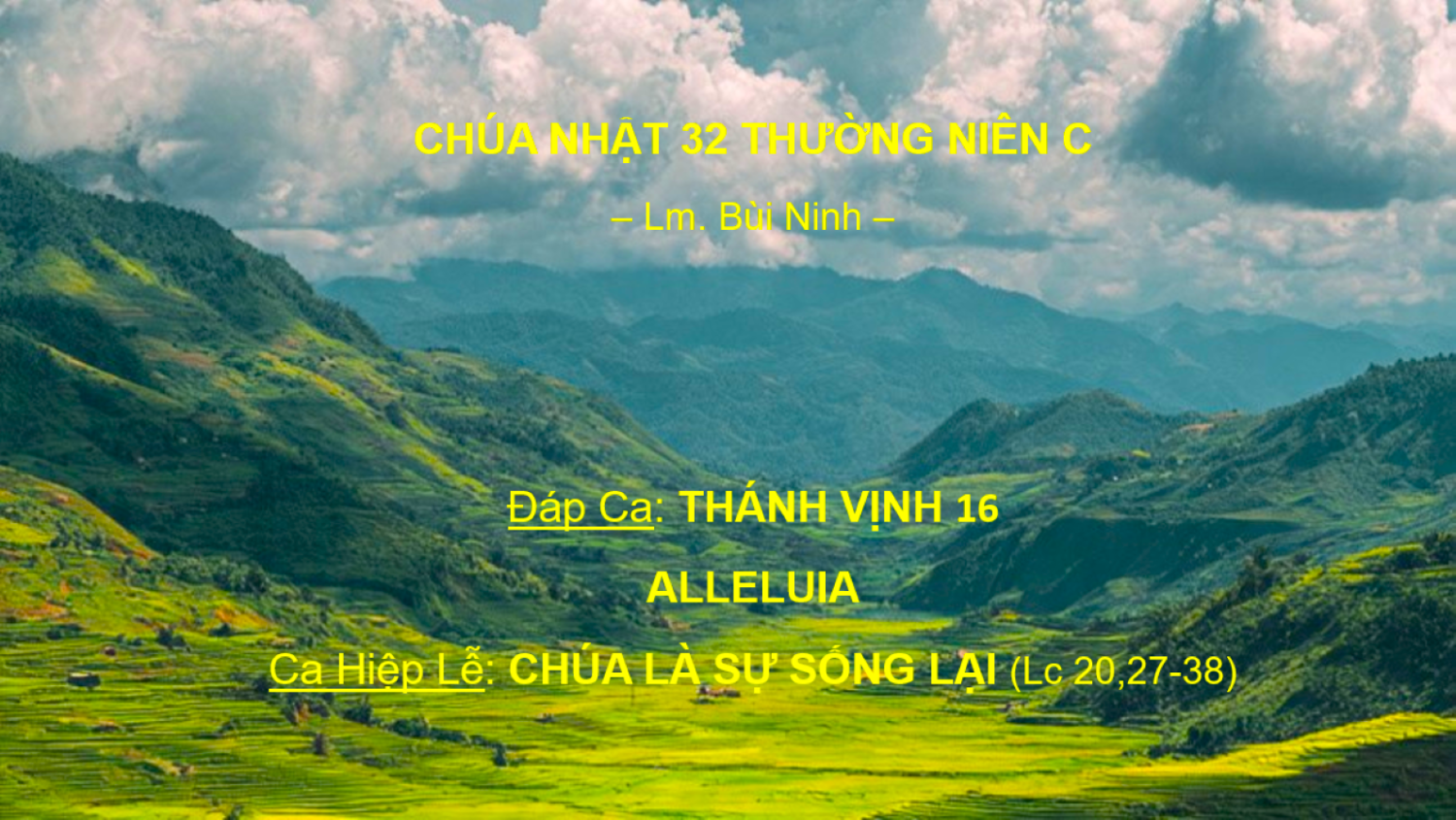 Chúa Nhật 32 Thường Niên C – Đáp Ca - Alleluia - Ca Hiệp Lễ – Lm. Bùi Ninh