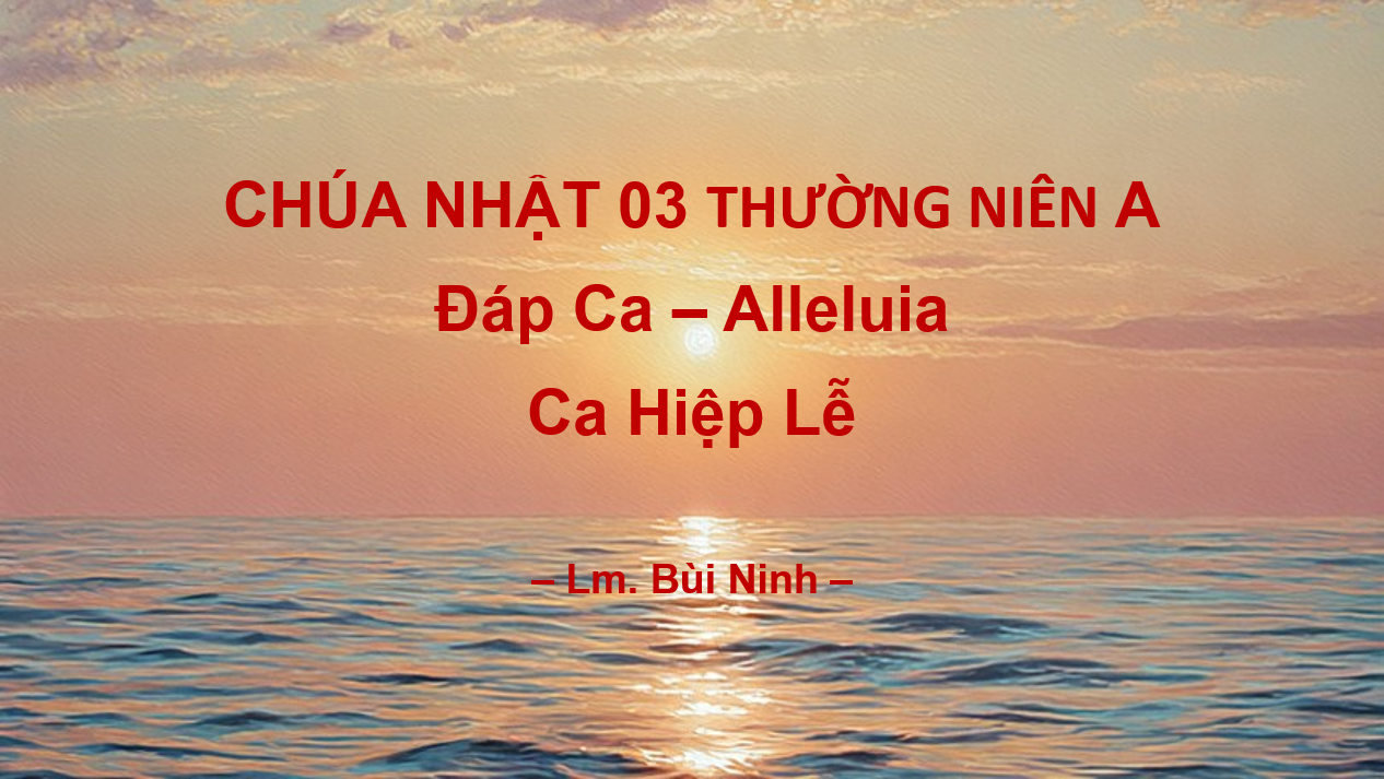 Chúa Nhật 03 Thường Niên A – Đáp Ca – Alleluia – Ca Hiệp Lễ