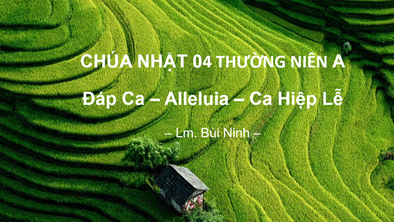 Chúa Nhật 04 Thường Niên A – Đáp Ca – Alleluia – Ca Hiệp Lễ
