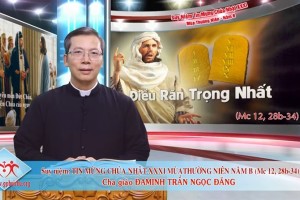 Suy niệm Tin Mừng Chúa Nhật XXXI mùa Thường Niên năm B _ Lm. Đaminh Trần Ngọc Đăng