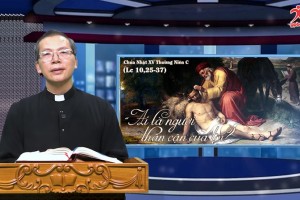 Suy Niệm Tin Mừng Chúa Nhật XV Thường Niên Năm C