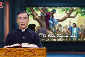 Suy Niệm Tin Mừng Chúa Nhật XXXI Thường Niên Năm C