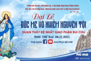 Trực tuyến Đại Lễ Đức Maria Vô Nhiễm Nguyên Tội