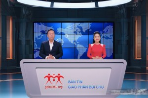 Bản tin từ 01 - 15 tháng 12 năm 2025