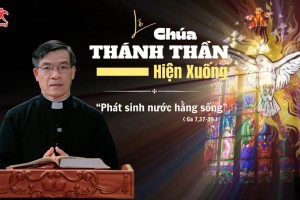 Suy Niệm Tin Mừng Chúa Nhật Chúa Thánh Thần Hiện Xuống