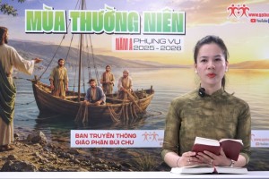 Thứ Tư Tuần VIII Thường Niên