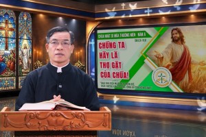Suy Niệm Tin Mừng Chúa Nhật XI Thường Niên A