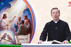 Suy Niệm Tin Mừng Chúa Nhật XII Thường Niên A