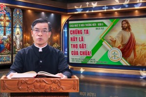 Suy Niệm Tin Mừng Chúa Nhật XIV Thường Niên A