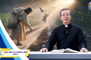 Suy Niệm Tin Mừng Chúa Nhật XV Thường Niên A