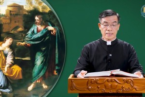 Chúa Nhật Tuần XX Mùa Thường Niên Năm A